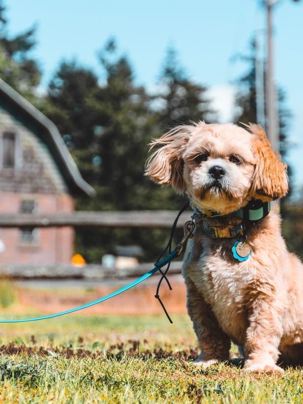 7D45B7A8-7692-4EDE-901E-02CEF7E2188A